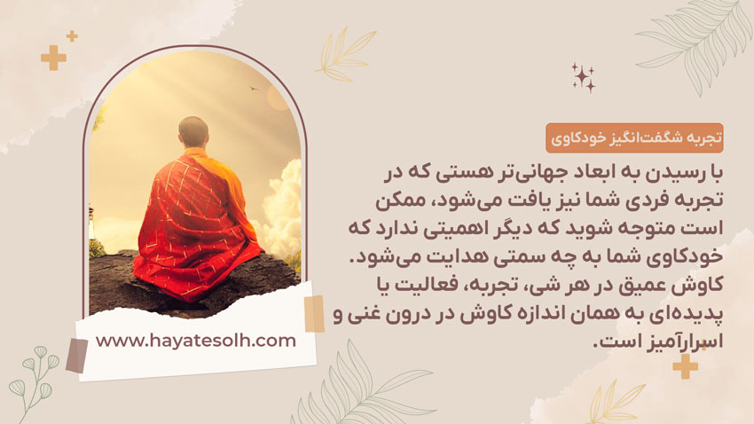 ماهیت خودکاوی خطاناپذیر است